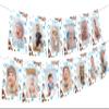 1st Birthday Monthly Photo Banner Cowboy First Rodeo Birthday Party Decorations Boy Blue Western Cowboy Monthly Photo Display My First Rodeo Newborn to 12 view 1