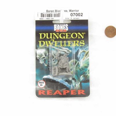Baran Blacktree Veteran Warrior Miniature 25mm Heroic Scale Figure Dungeon Dwellers Reaper