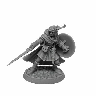 Mellonir Windrunner Elf Warrior Miniature 25mm Heroic Scale Figure Dungeon Dwellers Reaper