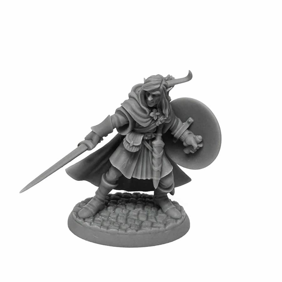 Mellonir Windrunner Elf Warrior Miniature 25mm Heroic Scale Figure Dungeon Dwellers Reaper