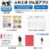 Yamagata Koubou Japan Kendama Association Certified Competition Kendama Sky Black view 4