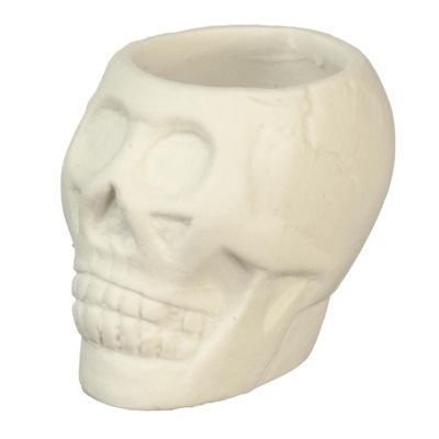 Melody Jane Dolls Houses Dollhouse Human Skull Planter Halloween Display Decoration Ornament Accessory