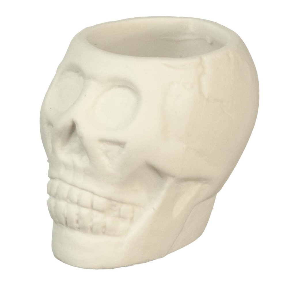 Melody Jane Dolls Houses Dollhouse Human Skull Planter Halloween Display Decoration Ornament Accessory