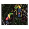 LAMINAS PARA RASCAR. PAJAROS view 3