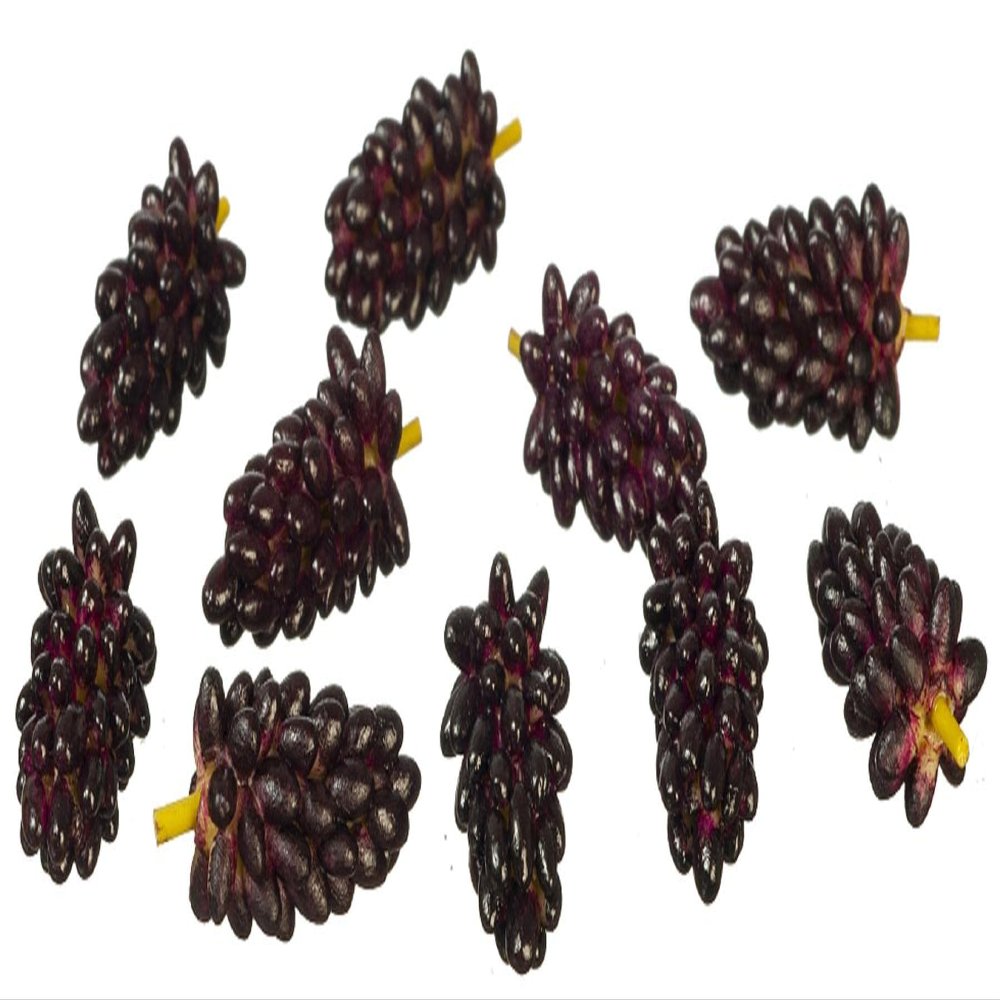 Melody Jane Dolls Houses Dollhouse Purple Grapes 10 Bunches of Fruit 1:12 Kitchen Shop Store Accessory