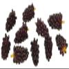 Melody Jane Dolls Houses Dollhouse Purple Grapes 10 Bunches of Fruit 1:12 Kitchen Shop Store Accessory view 1