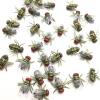 100pcs Plastic Flying, 0.59inch Fake Fly Simulated Plastics, Simulation Fake Fly Model Prank Prop Toys for Halloween, Reusable Joke Novelty April Fool Day Gag view 3