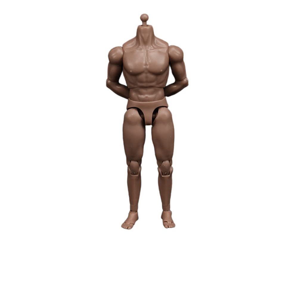 1/12 Scale Male Figure Body,6inch Standard Muscular Joint Flexible Action Figure Body Collectible (with Neck Version)