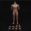 1/12 Scale Male Figure Body,6inch Standard Muscular Joint Flexible Action Figure Body Collectible (with Neck Version) view 2