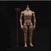 1/12 Scale Male Figure Body,6inch Standard Muscular Joint Flexible Action Figure Body Collectible (with Neck Version) view 3