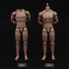 1/12 Scale Male Figure Body,6inch Standard Muscular Joint Flexible Action Figure Body Collectible (with Neck Version) view 4