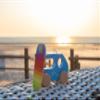 goki 54858 - Pull Vehicle Surfer Van - Modern Design - Removable Surfboard view 2
