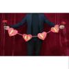 SUMAG Rose Silk to Blendo Magic Tricks Visual Rose Change Magic Three Effects Magician Stage Illusions Gimmicks Mentalism Props(Blank Blendo) view 1