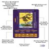 Wyspell Tarot for Learning - Tarot Cards with Meanings on Them - Beginner Tarot Deck with Meanings on Them - Cards for Beginners with Guide Book view 2