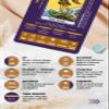 Wyspell Tarot for Learning - Tarot Cards with Meanings on Them - Beginner Tarot Deck with Meanings on Them - Cards for Beginners with Guide Book view 3