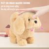 Hopearl Walking Dog Golden Retriever Interactive Electronic Pet Plush Toy Puppy Woof and Moving Animated Nodding Head Gifts for Toddlers Birthday, Brown, 7'' view 4