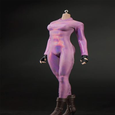1/6 Scale Female Clothes,Female Stretch Bodysuit Jumpsuit Costume Outfit Clothing for 12inch PH TBL JO Seamless Action Figure Body (Silver)