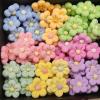 Yuxuanish 30pcs of DIY Finished Clay Flower,3cm-5cm Handmade Finished Clay Flowers,DIY Perpetual Flower (Rainbow Series) view 3
