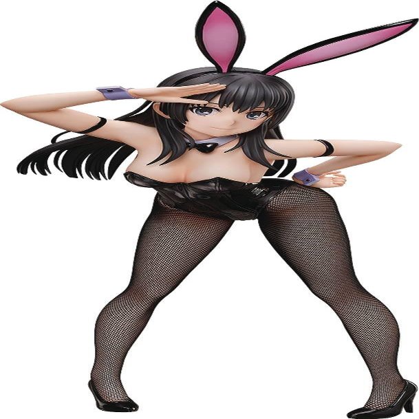 FREEing A Certain Scientific Railgun T: Ruiko Saten (Bunny Ver.) 1:4 Scale PVC Figure