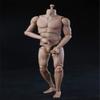 1/6 Scale Male Body,12inch Male Strong Musclar Action Figure Basketball Sports Joints Movable Figure Body Collectible (Pale Skin) view 1