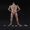 1/6 Scale Male Body,12inch Male Strong Musclar Action Figure Basketball Sports Joints Movable Figure Body Collectible (Pale Skin) view 2