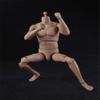 1/6 Scale Male Body,12inch Male Strong Musclar Action Figure Basketball Sports Joints Movable Figure Body Collectible (Pale Skin) view 3