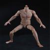 1/6 Scale Male Body,12inch Male Strong Musclar Action Figure Basketball Sports Joints Movable Figure Body Collectible (Pale Skin) view 4