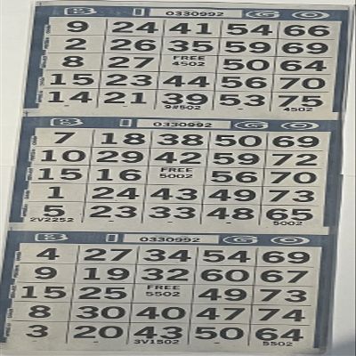 The Ticket Gurus-3 on Bingo Paper Game Cards - 500 Sheets - 4 Inch by 12 Inch Size (Blue)