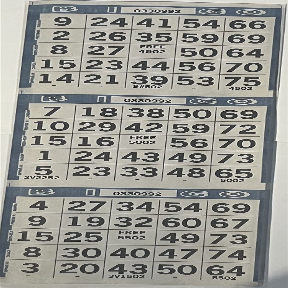 The Ticket Gurus-3 on Bingo Paper Game Cards - 500 Sheets - 4 Inch by 12 Inch Size (Blue)