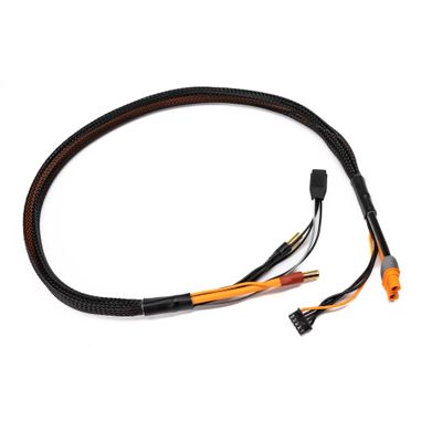 Spektrum Smart Pro Series Race 4s Charge Cable: IC3/5mm 2', SPMXCA330