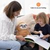 Weighted Stuffed Animal for Anxiety | Calming & Comforting 5 Lbs | Weighted Plush Animal Sloth | Anxiety Stuffed Animals for Adults & Kids | Carrying Bag Included | Machine Washable Weighted Plushie view 2