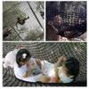 Double Layers Climbing Net for Kids and Adults-Playground Play Safety Net-Climbing Cargo net Tree House net Cargo Rope net Treehouse Climbing Netting (Size : 4.5X4.5m) view 3