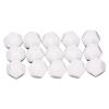 12 Sided Blank Dice, Plastic Write On Cubes Teaching Gaming 30PCS Polyhedral for Education, D12 22mm Blank White Color Dice 12 Sided Can Be Written by Marker Pen for Board Games Accessories view 1