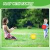 Jerify 10 Pcs Playground Balls Bulk 10 Inch Kickball Bouncy Balls Colorful Inflatable PVC Play Dodgeballs Handball for Adults in Games, Gym, Yoga Exercises, Party Supplies view 4