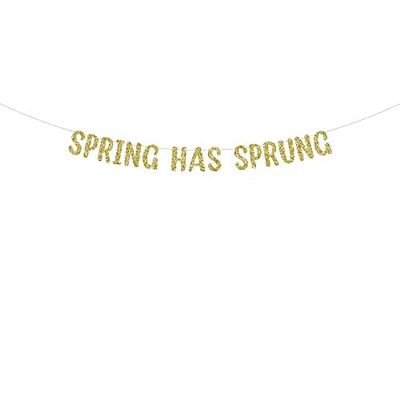 Spring Has Sprung glitter Easter party banner