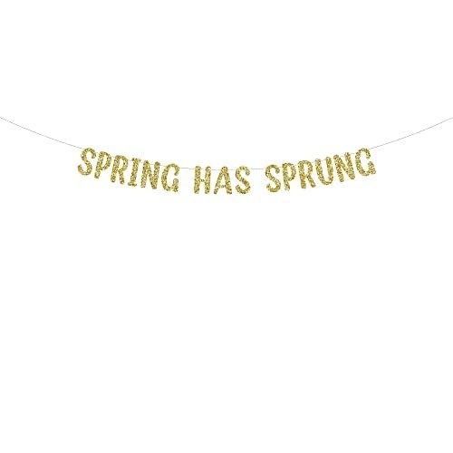 Spring Has Sprung glitter Easter party banner
