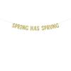 Spring Has Sprung glitter Easter party banner view 1