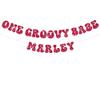 One Groovy Babe - 1st birthday party banner view 1
