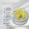 Sage's Portal Souls Liquid Core 7-PC Sharp Edge Resin Polyhedral DND Dice Set for Dungeons and Dragons Dice RPG Tabletop TTRPG (Radiant Souls) view 2