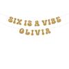 Six Is A Vibe Groovy Retro Birthday Party glitter banner view 1