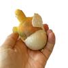 1 Hatch a Turtle Ocean Animal Grow in Water - Add Water and it Grows up to 4" - Sea Critter Toy Bath Fun Science Expanding Novelty Magic Absorbent Polymer Toy view 2