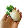 1 Hatch a Gator Alligator Ocean Animal Grow in Water - Add Water and it Grows up to 4" - Sea Critter Toy Bath Fun Science Expanding Novelty Magic Absorbent Polymer Toy view 1