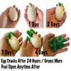 1 Hatch a Gator Alligator Ocean Animal Grow in Water - Add Water and it Grows up to 4" - Sea Critter Toy Bath Fun Science Expanding Novelty Magic Absorbent Polymer Toy view 2