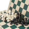 Chess PVC Chess Set Travel Portable Chess Plastic Chess PiecesChess Board Educational Toy Gift(Puzzle Game) (Green) view 3