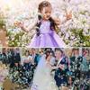 Automatic Bubble Machine with Remote Control for Wedding DJ Party Stage Effect Bar Show Single-Wheel view 2