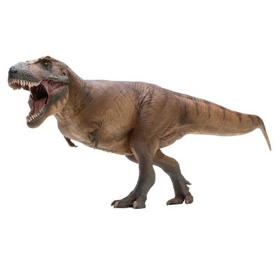 PNSO Dinosaur Museums Series (Cameron The Tyrannosaurus rex 1:35 Scietific Art Model)