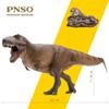 PNSO Dinosaur Museums Series (Cameron The Tyrannosaurus rex 1:35 Scietific Art Model) view 4