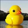 10ft Outdoor Giant Inflatable Promotion Yellow Rubber Duck Floats Pool Lake view 2
