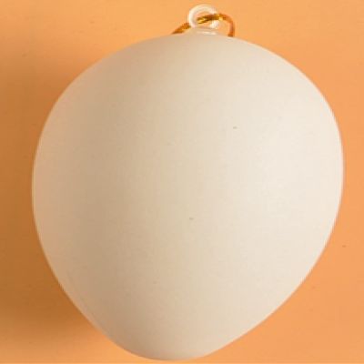 BARTEU Kids Painted Colored Eggs Children Handmade Toys Plastic Egg Shell Kindergarten Painting Materials 10whitegooseeggs(6 * 8cm)
