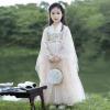 Girl's Hanfu Fairy Served Ru Tang Suits Chinese Style Fairy Dress Performance Dress view 2